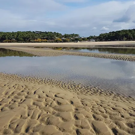 Grand Studio Avec Wifi 4 Personnes De 40 M2 A 8mn A Pied De La Plage 阿卡雄